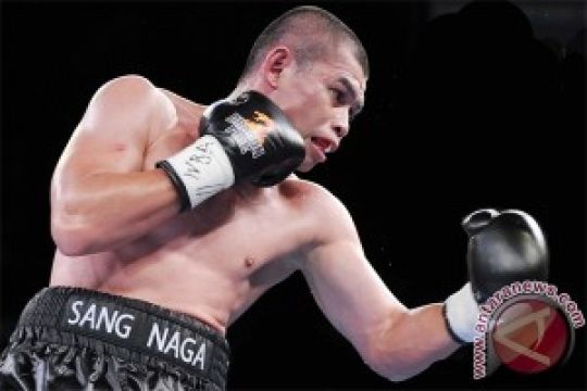 Chris John Berlatih di Australia