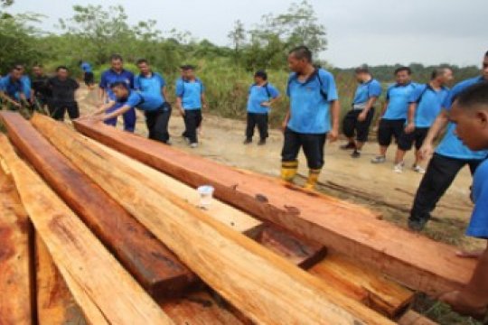 Pembalakan Hutan Lindung/Joko Sulistyo Page 1 Small