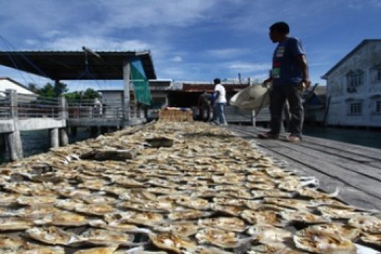 Produksi Ikan Asin Terkendala Cuaca/Joko Sulistyo Page 1 Small