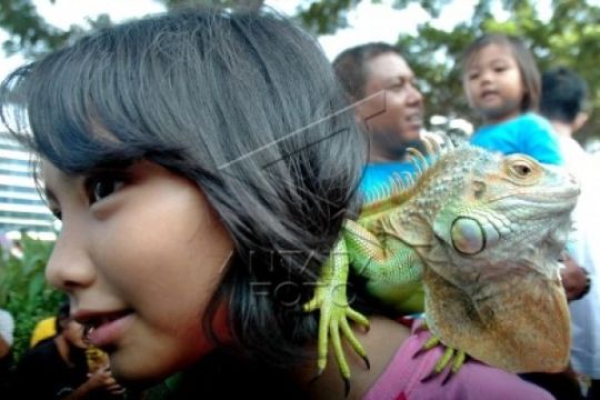 MENGENALKAN HEWAN REPTOL Page 1 Small