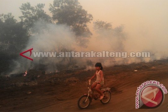 Anak Kecil Saat Melintas Di Lahan Terbakar Page 1 Small