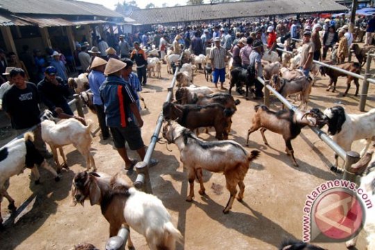 Pedagang Sudah Lama Kenal Konsep Redenominasi  