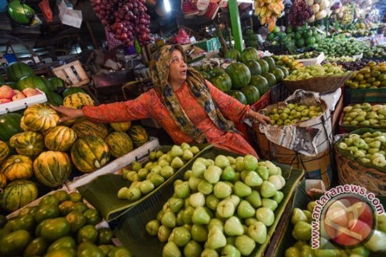 Undip Ciptakan Pengawet Sayur dan Buah Berteknologi Ozon