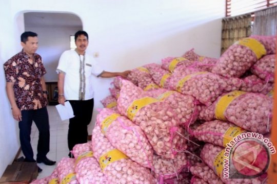 10 Ton Bawang Putih Tiba di Kalteng Page 1 Small