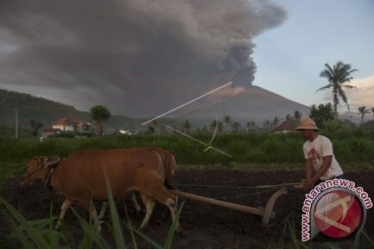 LETUSAN GUNUNG AGUNG