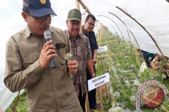 PEMBIBITAN BAWANG MERAH