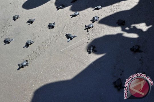 KOMITMEN LINGKUNGAN PERTAMINA