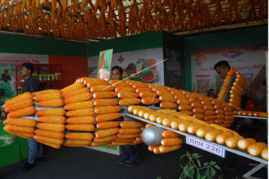 Gelar promosi agribisnis Soropadan Page 1 Small