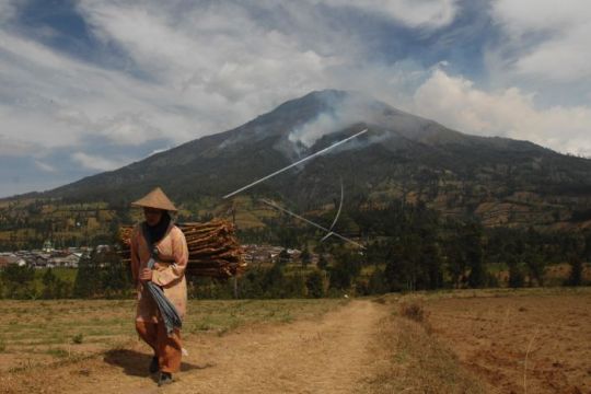 Kebakaran hutan gunung Sumbing Page 2 Small