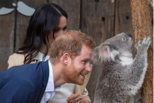 Pesawat yang ditumpangi Meghan dan Harry batal mendarat di Sydney