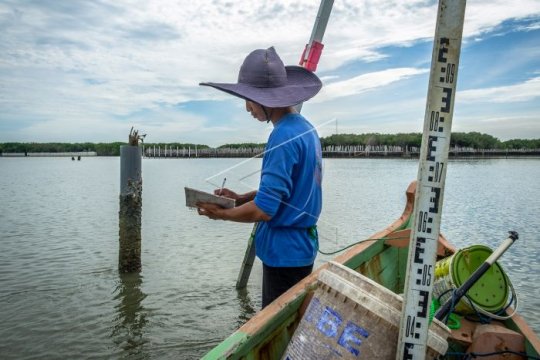 Pemantauan sedimentasi dan abrasi Page 2 Small