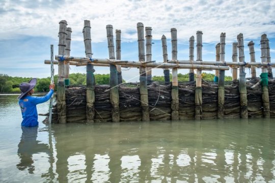 Pemantauan sedimentasi dan abrasi Page 1 Small