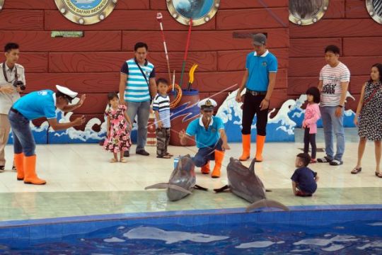 Wisata Batang Dolphins Center Page 3 Small