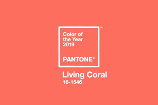"Living Coral" jadi tren warna 2019