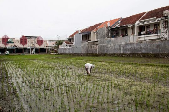 Alih fungsi lahan sawah Page 2 Small