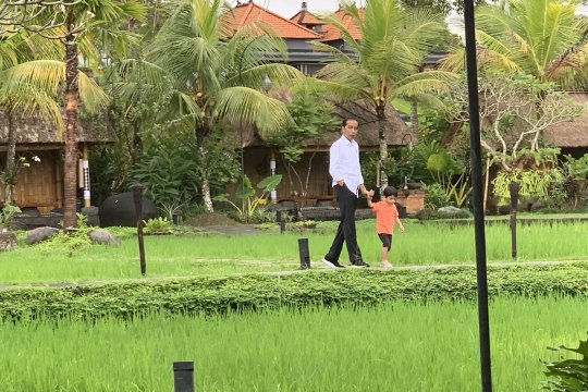 Jokowi ajak jalan-jalan Jan Ethes di tepi sawah