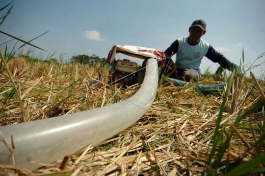 Kekeringan di Jateng Page 3 Small