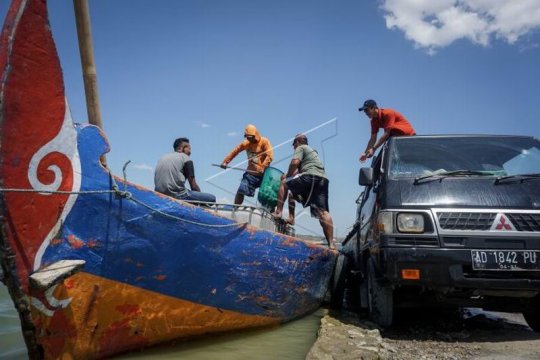 Panen ikan di Waduk Kedung Ombo Page 2 Small