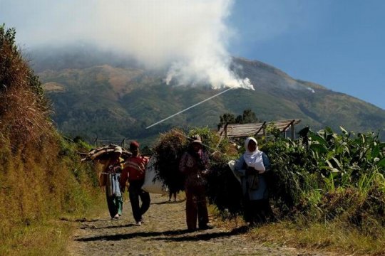 Kebakaran hutan gunung Sumbing Page 3 Small