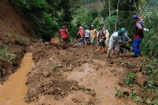 Longsor di lereng Gunung Prau Page 2 Small
