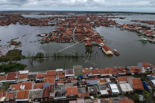 Banjir di Pekalongan Page 3 Small