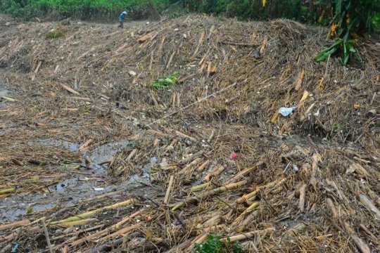 Sampah di pintu air bendungan Wilalung Page 2 Small