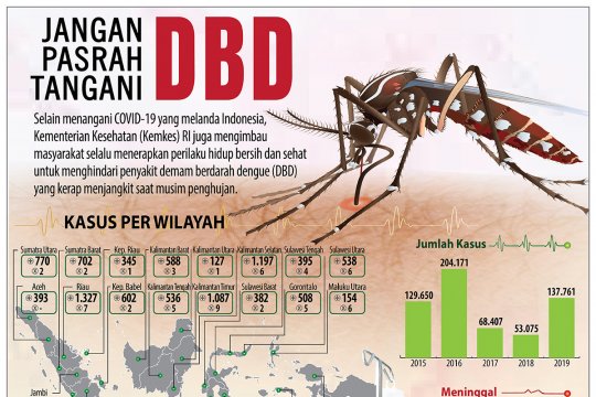 Jangan pasrah tangani demam berdarah