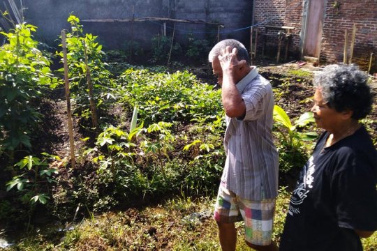 Melepas "jebakan" krisis pangan dampak pandemi COVID-19