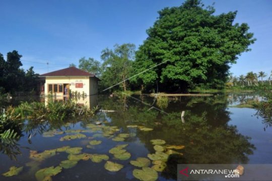 BANJIR ROB DI PADANGPARIAMAN