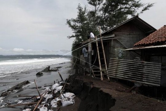 Rob di pesisir selatan Jawa Tengah Page 4 Small