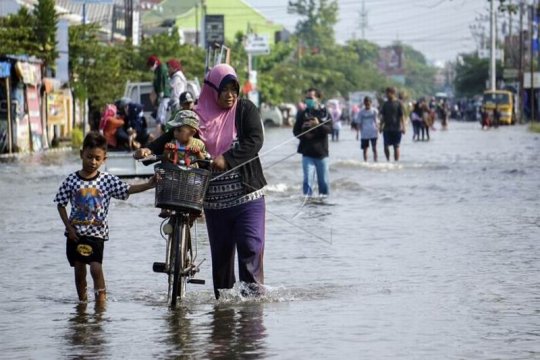 Banjir rob di Pekalongan Page 1 Small