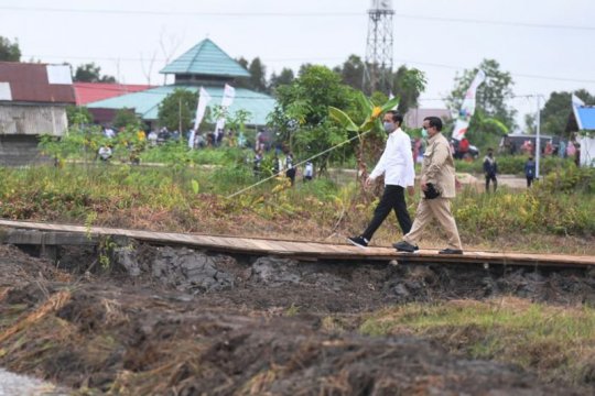 Presiden Tinjau Lahan Food Estate Page 2 Small