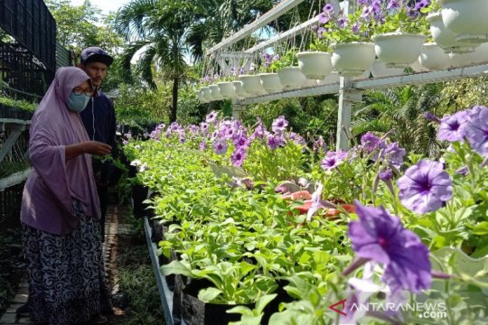 Berkebun dapat stabilkan suasana hati di masa pandemi (VIDEO)