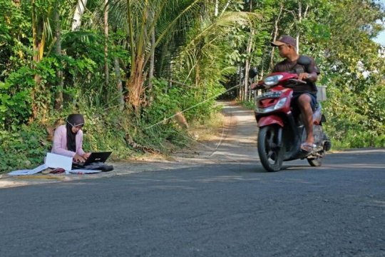 Mengerjakan tugas kuliah dan ujian di pinggir jalan Page 2 Small