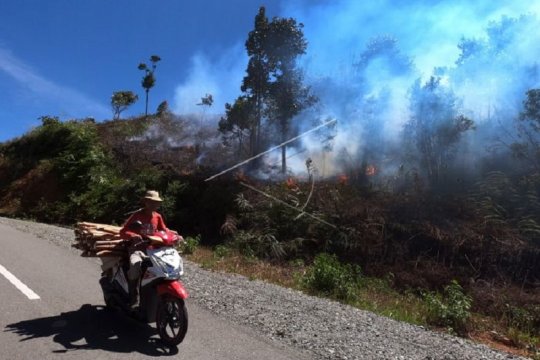258 desa di Jambi rawan karhutla