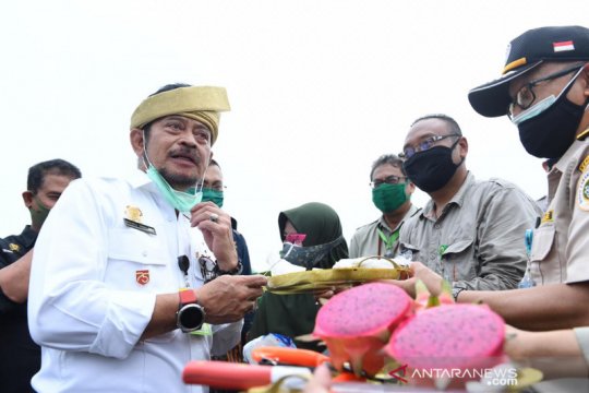 Mentan sasar peluang pengembangan ekspor produk hortikultura di Kepri