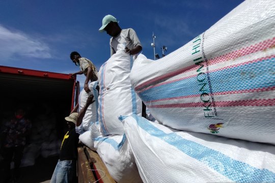 Pengiriman biji kakao Manokwari Selatan mulai rutin
