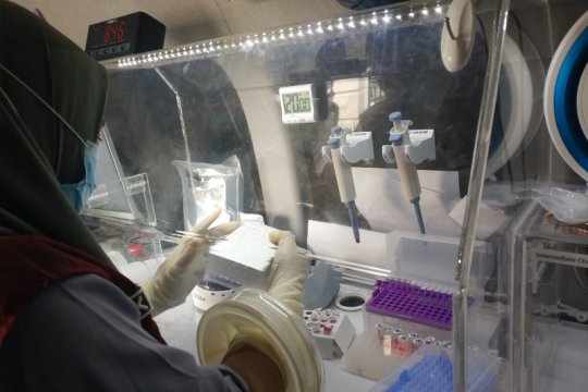 Pemprov Sulbar prioritaskan tes cepat antigen bagi pengungsi bergejala klinis