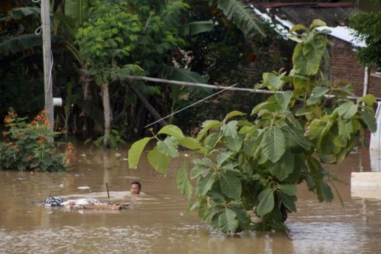 Banjir akibat meluapnya Sungai Bengawan Solo Page 3 Small