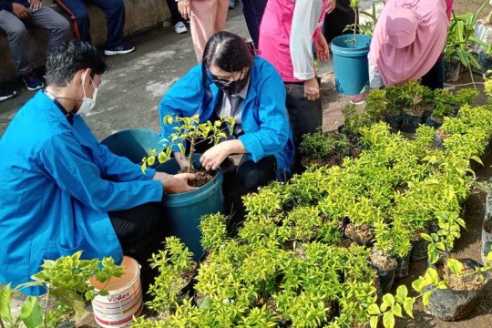 Pemkot Magelang dukung "Jateng Gayeng Telung Ng" melalui Proklim