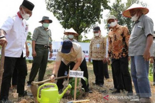 Bangka Belitung fokus kembangkan "food estate" di tiga ...
