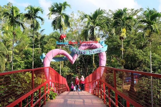 Taman Kyai Langgeng Magelang segera dibuka