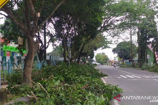 DLH - PUPR Belitung pangkas ranting dan dahan pohon