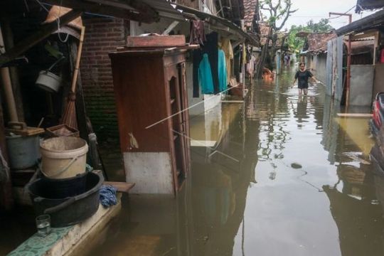 Banjir di Pekalongan Page 2 Small