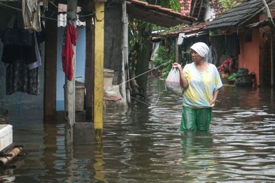 Banjir di Pekalongan Page 1 Small