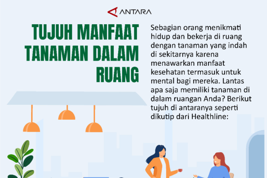 TUJUH MANFAAT TANAMAN DALAM RUANG