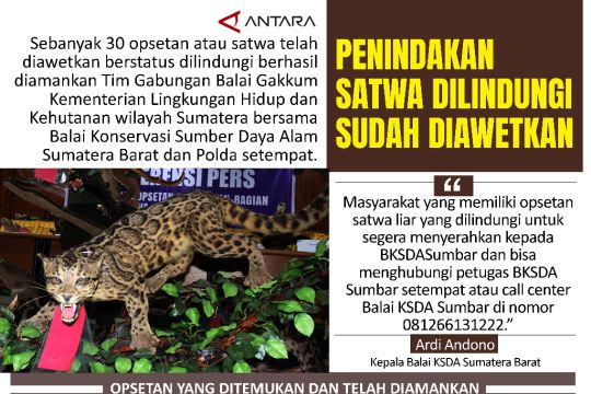 Penindakan satwa dilindungi sudah diawetkan