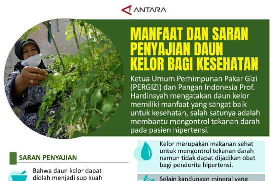 Manfaat dan saran penyajian daun kelor bagi kesehatan