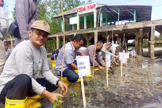 PT Timah berperan aktif dalam pelestarian lingkungan di Bangka Barat