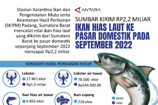 Sumbar kirim Rp2,2 miliar ikan hias laut ke pasar domestik pada September 2022